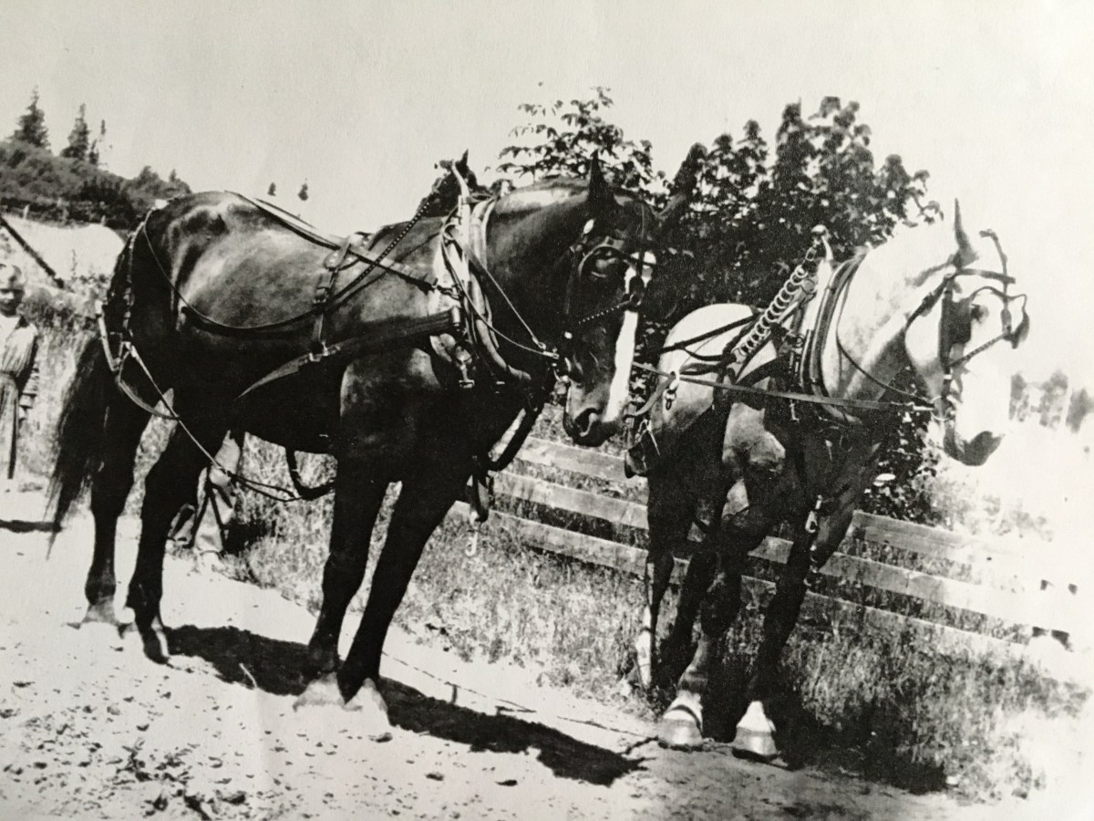BARNEY AND LUKE © Phil Ward,&nbsp;2019
