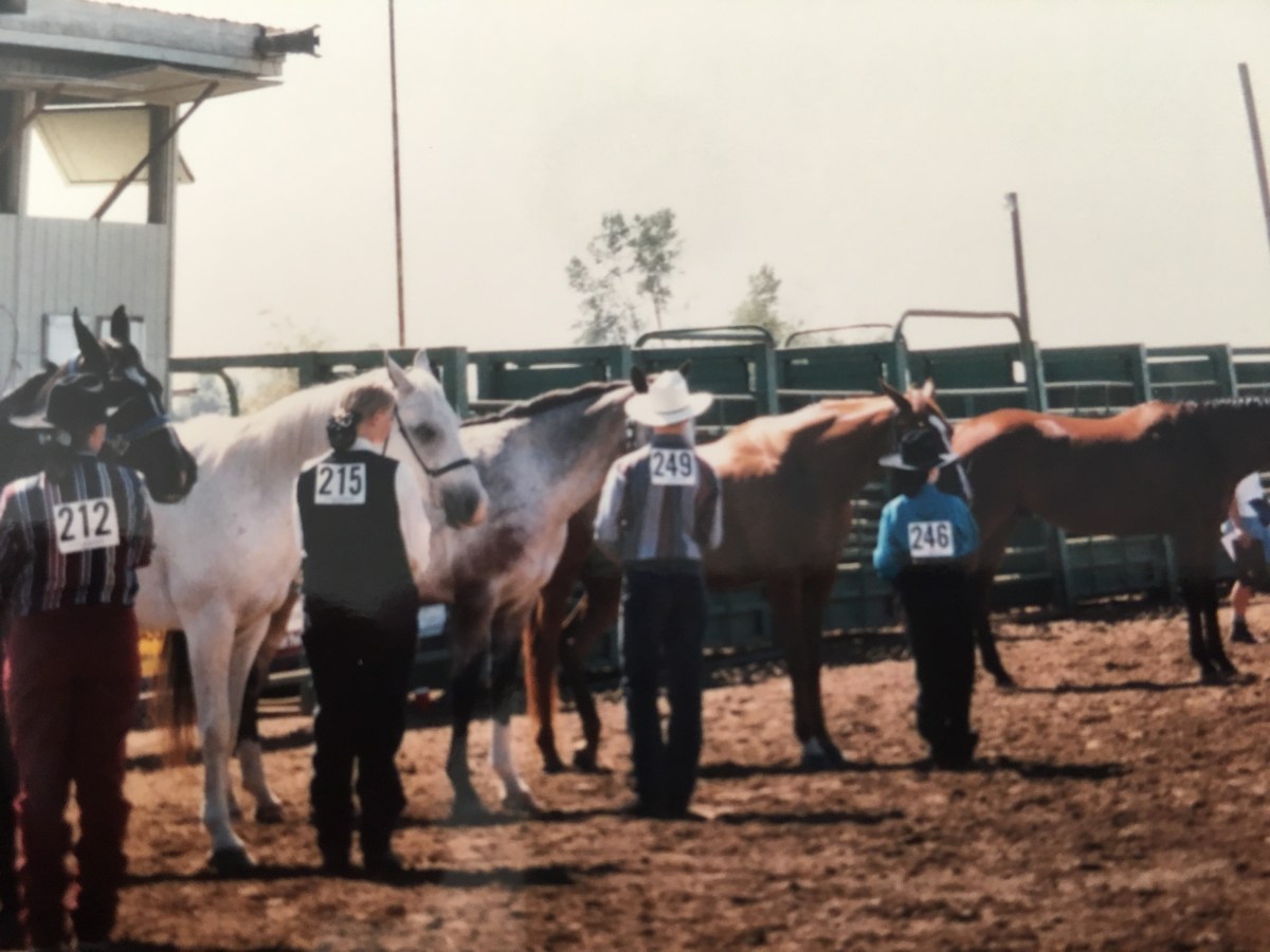 Patrick and Dandy, Part&nbsp;1