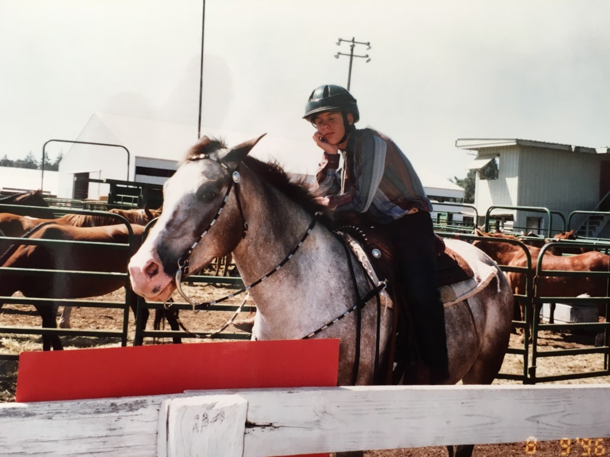 Patrick and Dandy, Part&nbsp;2