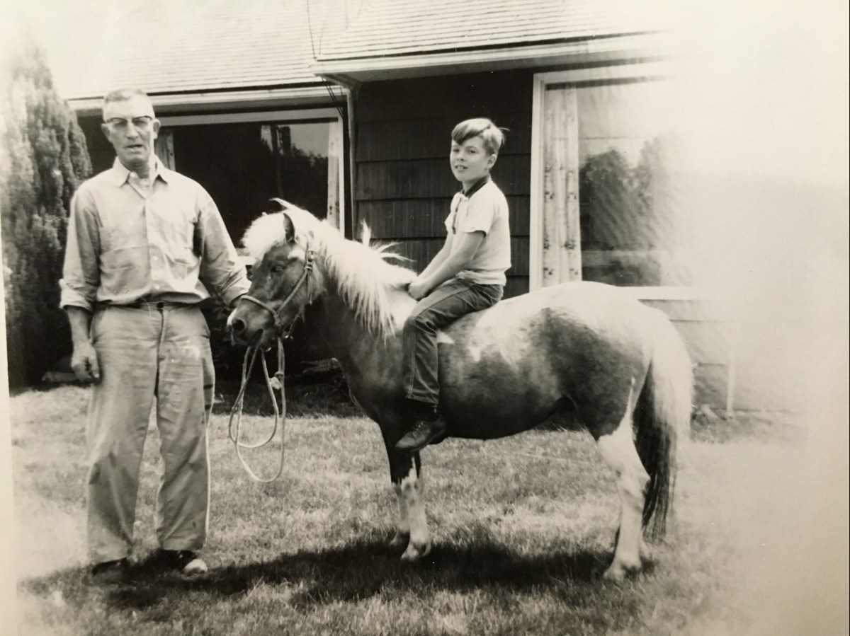 Getting Back On © Phil Ward,&nbsp;2019